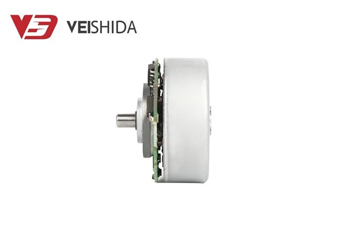 High Power Speed Outer Rotor Brushless DC Motor